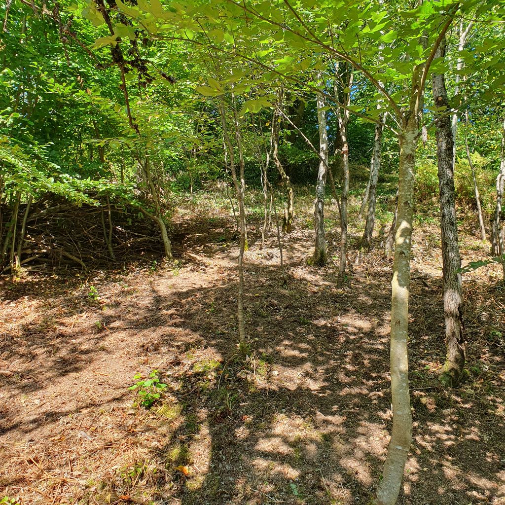 Terrain de camping "Räuberhöhle" dans le nord de la Forêt-Noire