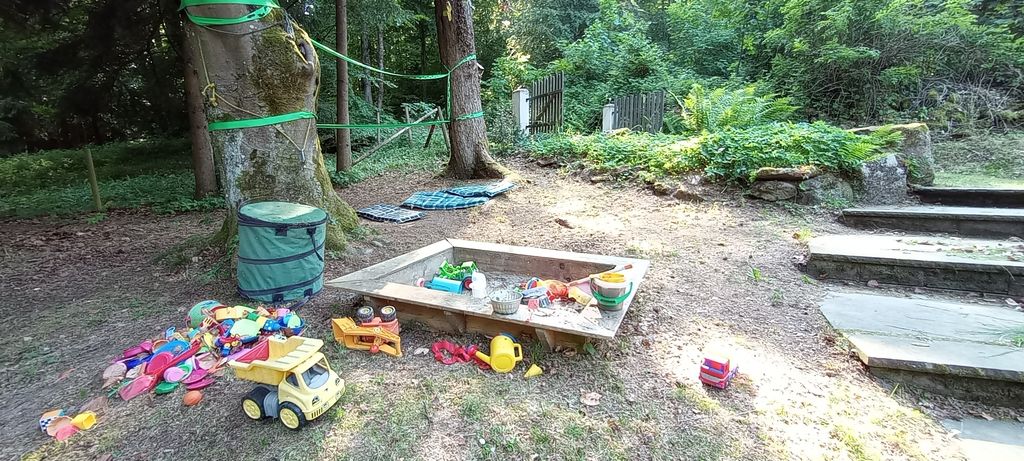 Parcela forestal para pequeños campistas o tiendas de campaña