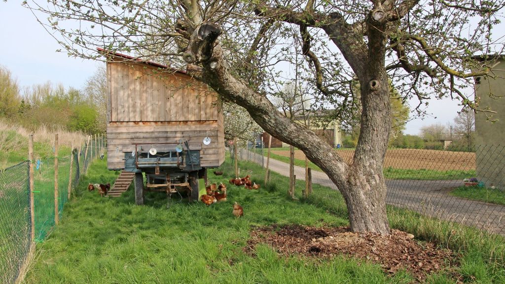 Time out at a disused farm