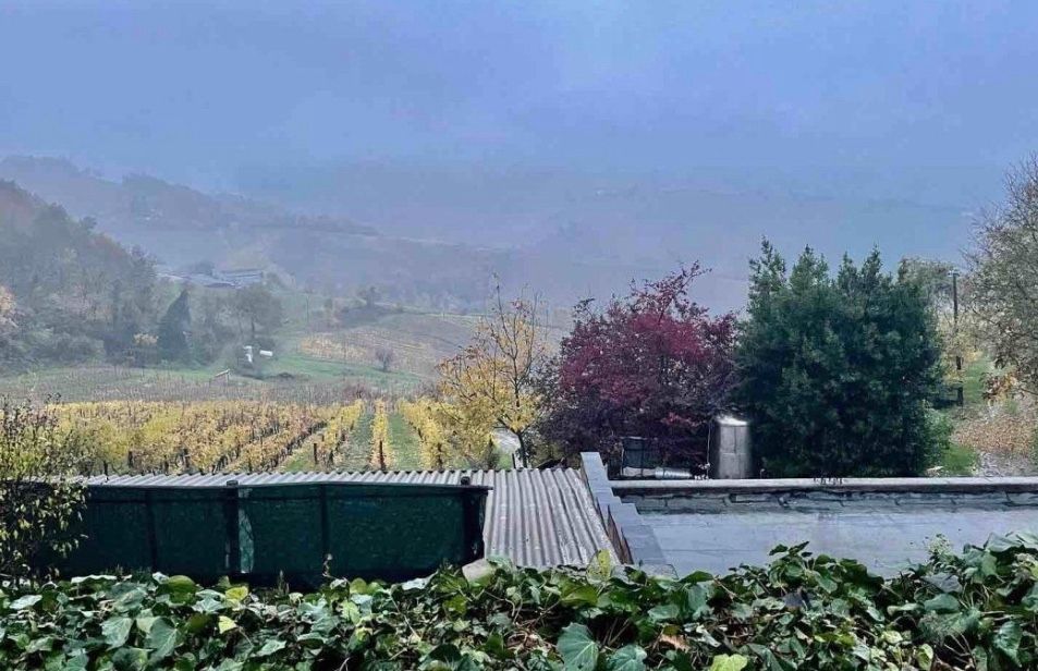 Einzigartige Aussicht vom Weinberg am Hang