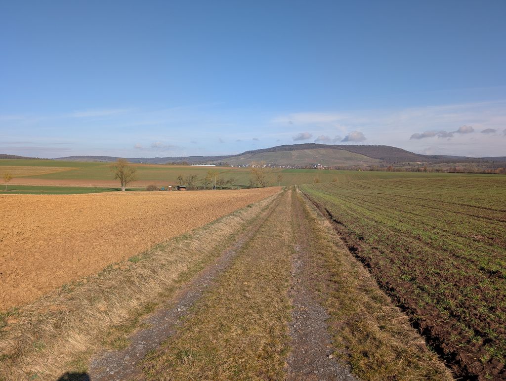Quiet fruit tree plot surrounded by fields