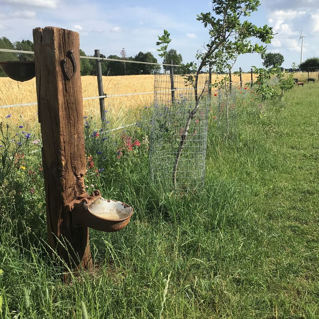 Viel Natur, Ruhe und pure Erholung!