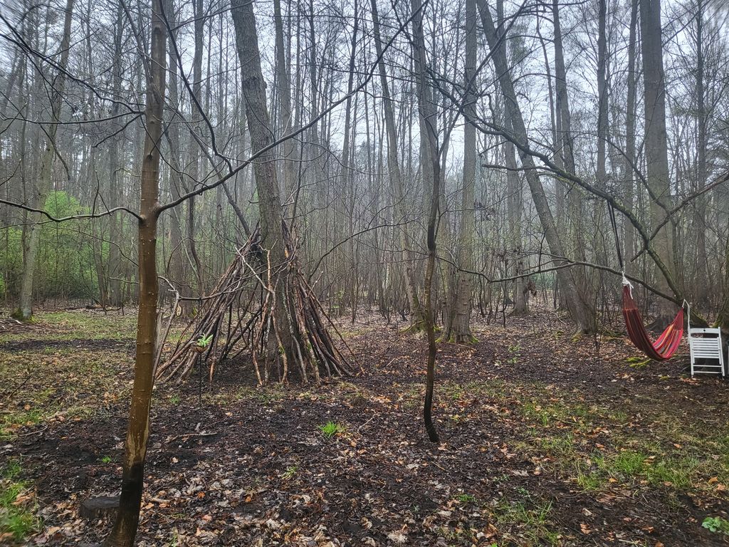 Idylische Waldübernachtung am Stadtrand Potsdams