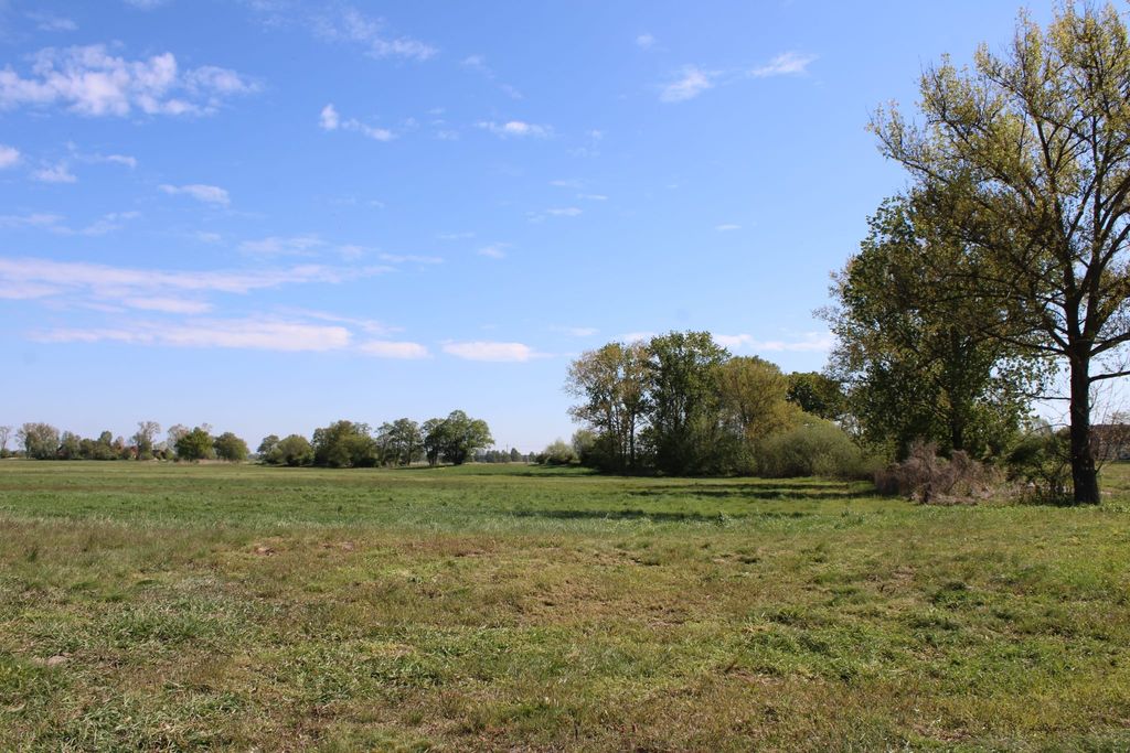 Campeggio sull'isola della foresta