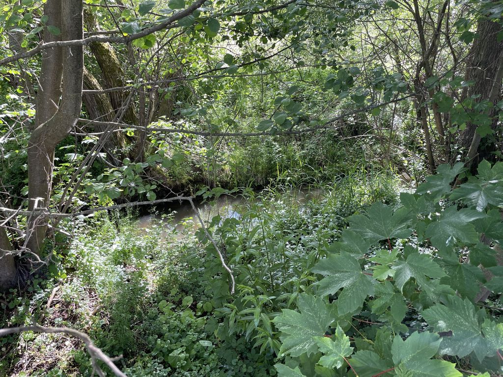 A green and peaceful idyll by the stream—right off the A3 