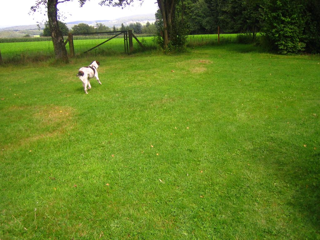 Tranquilo, hermoso lugar cerca del bosque