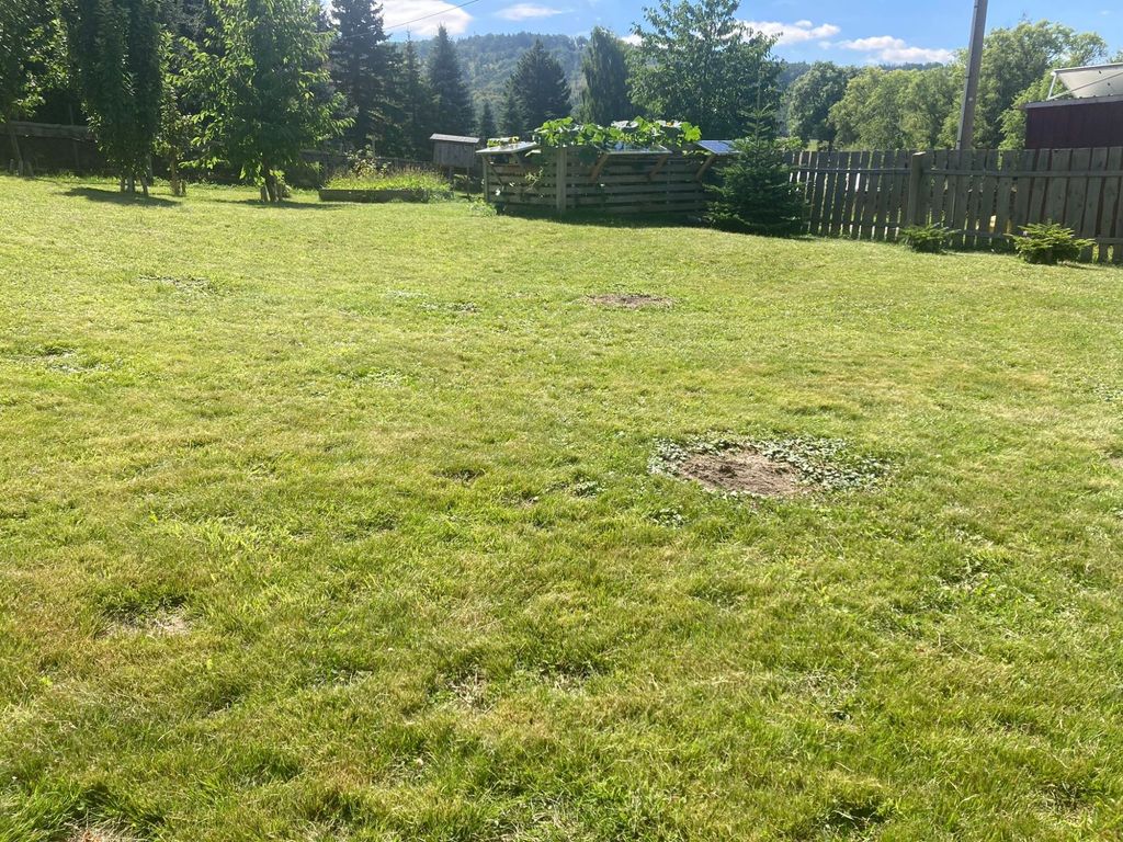Wohnmobilstellplatz nahe Bautzen