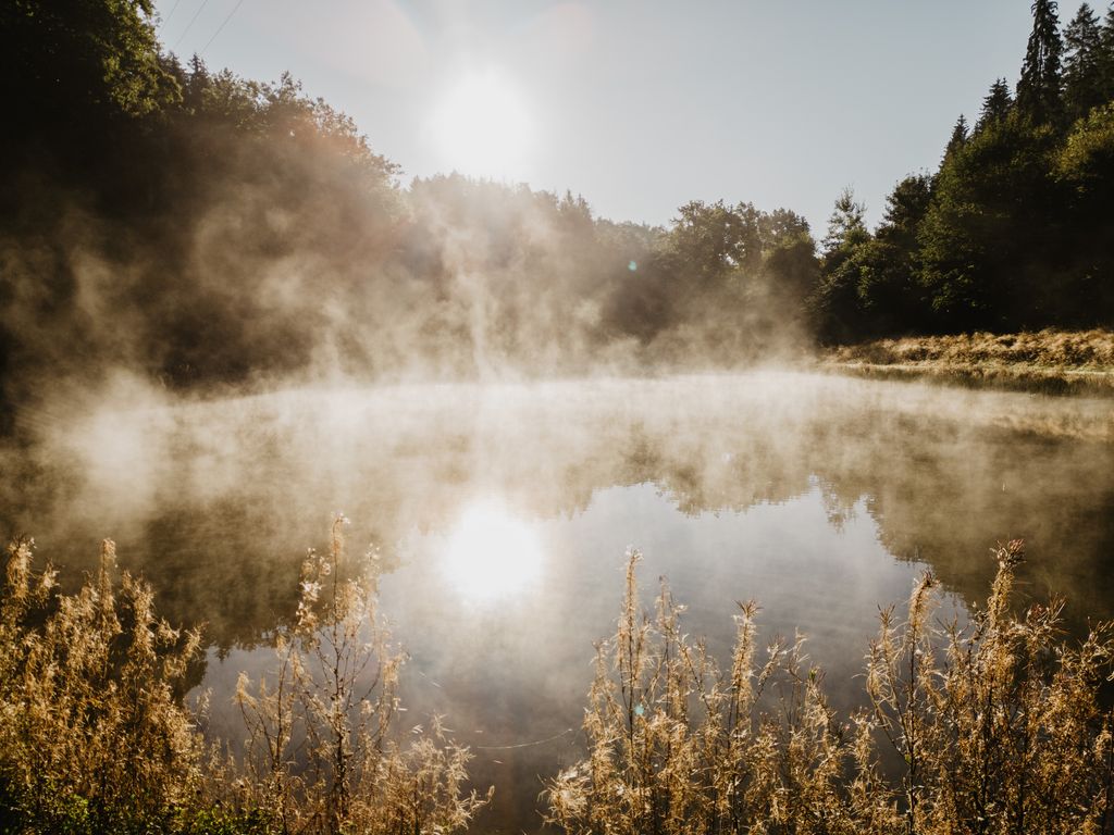 Acampar junto a un lago cristalino en el denso bosque del Palatinado