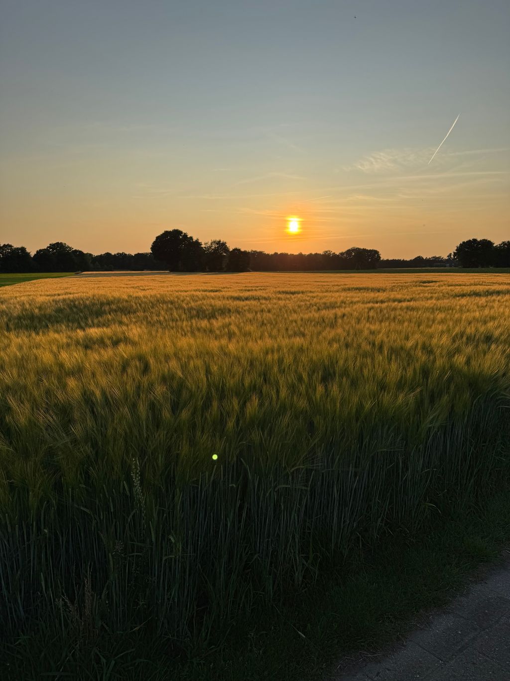 Camping à la ferme : service complet et à proximité d'Obelink
