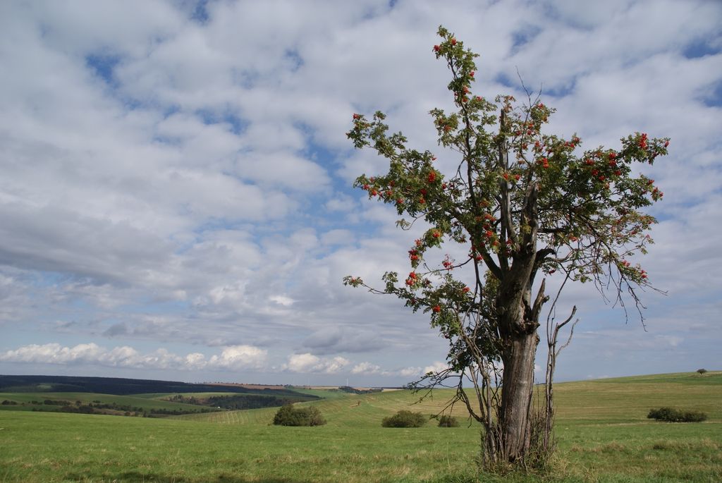 Ein Platz an Bergwiesen mit phantastischen Blick