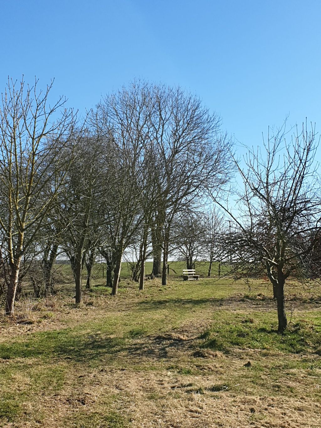 Unwind on the farm estate