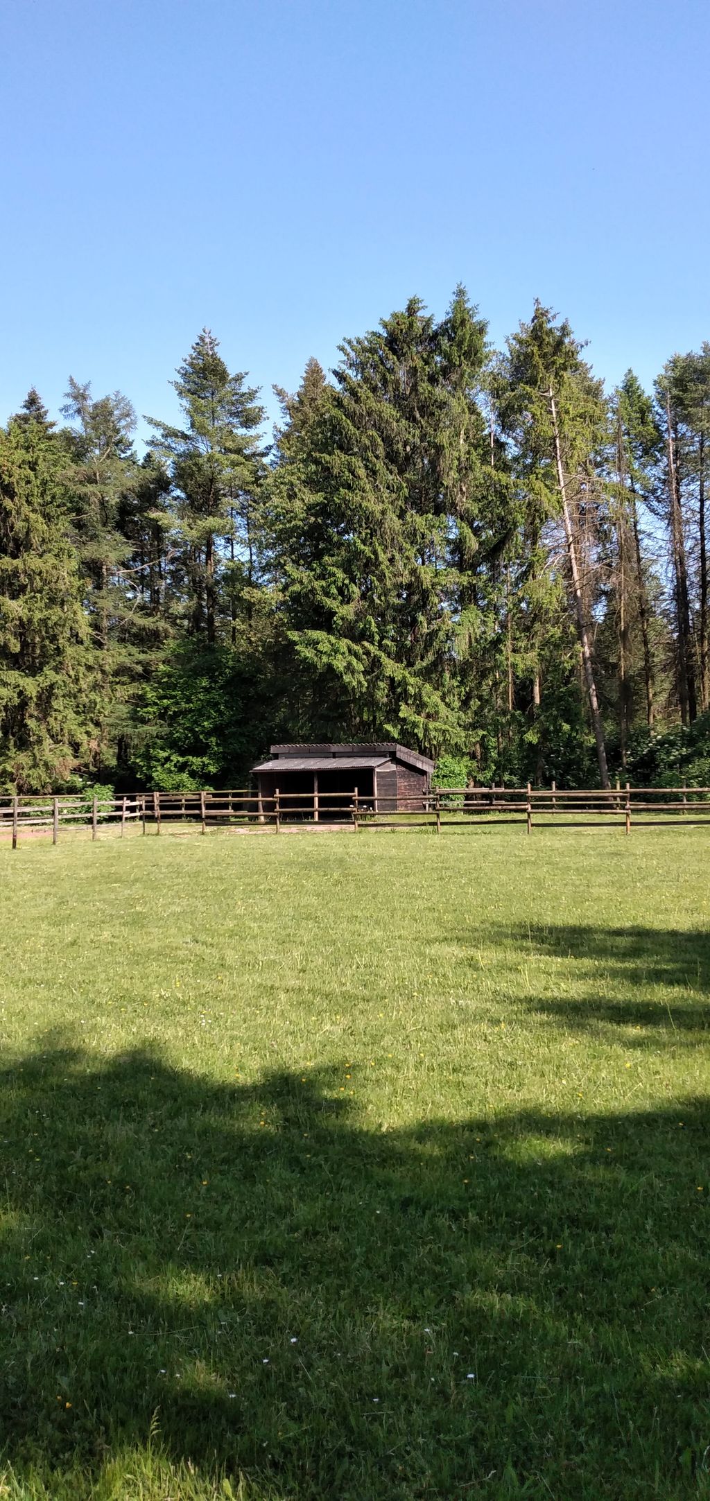 Tranquilo, hermoso lugar cerca del bosque