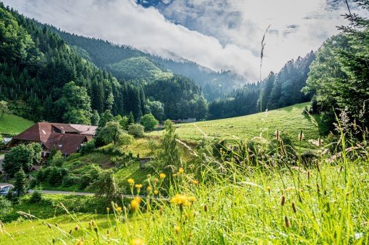 Campen im Schwarzwald auf dem Reiterhof mit Sauna