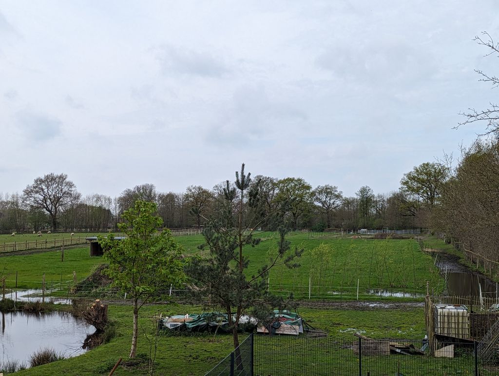 Natur-Hof bei Holm: Land-Camping mit Tieren