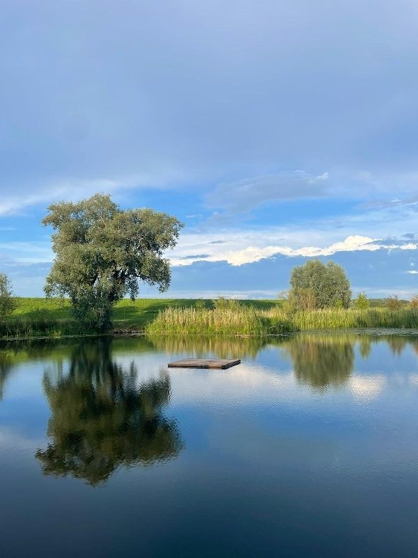 Actividades recreativas en la reserva de biosfera Elbtalaue MV