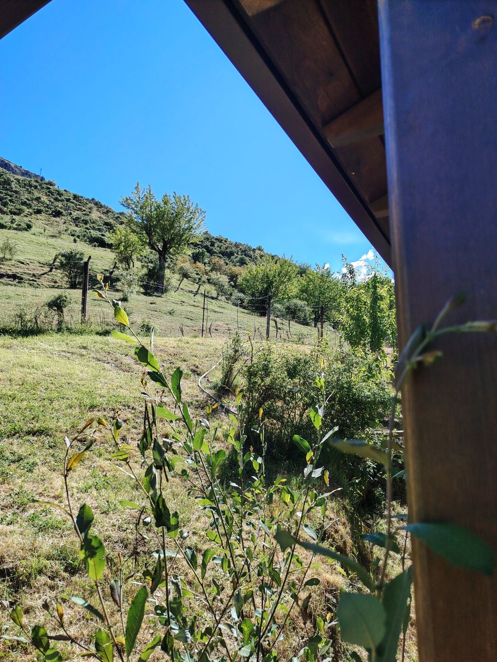 Idyllische Berghütte: Tor zu den Picos de Europa