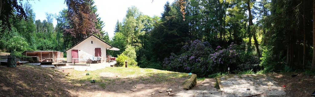 Wild romantic forest cottage with its own stream