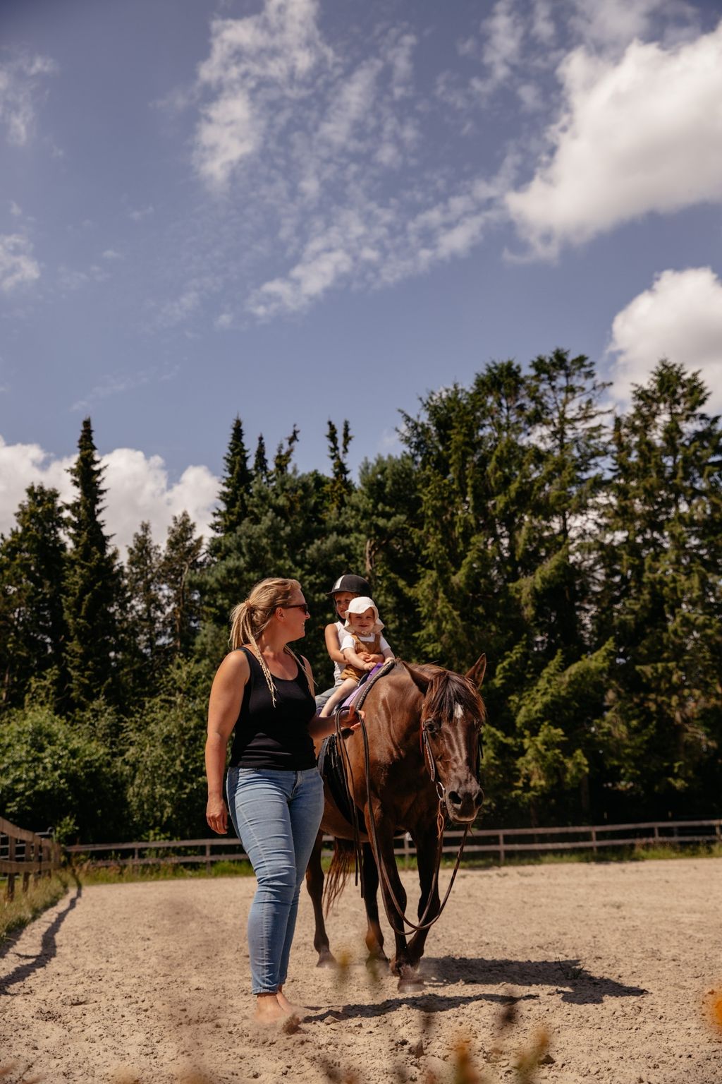 Rancho con caballos y ganado en el canal Ems-Jade