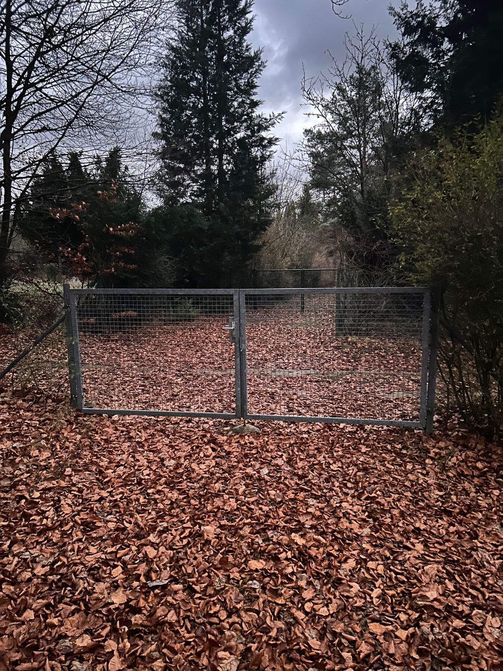 Camping en el Fränk. Suiza Privado en 1800 metros cuadrados.