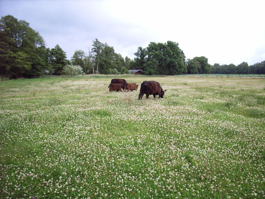 Place on the Wümme between Hamburg and Bremen
