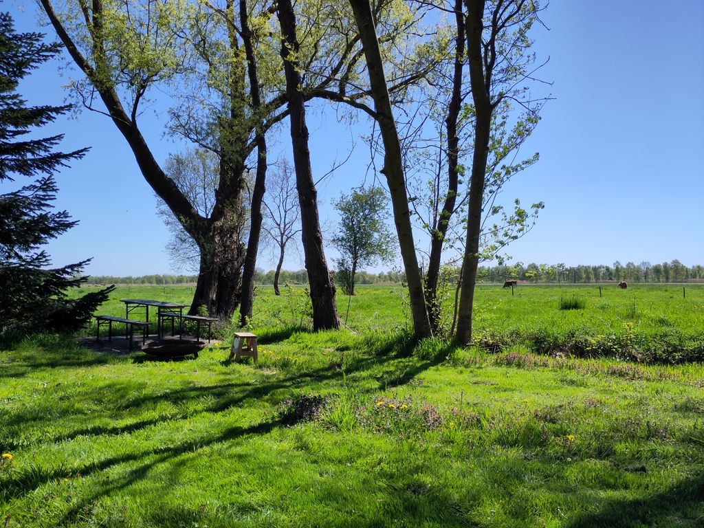 Un campamento idílico entre prados de caballos con sauna