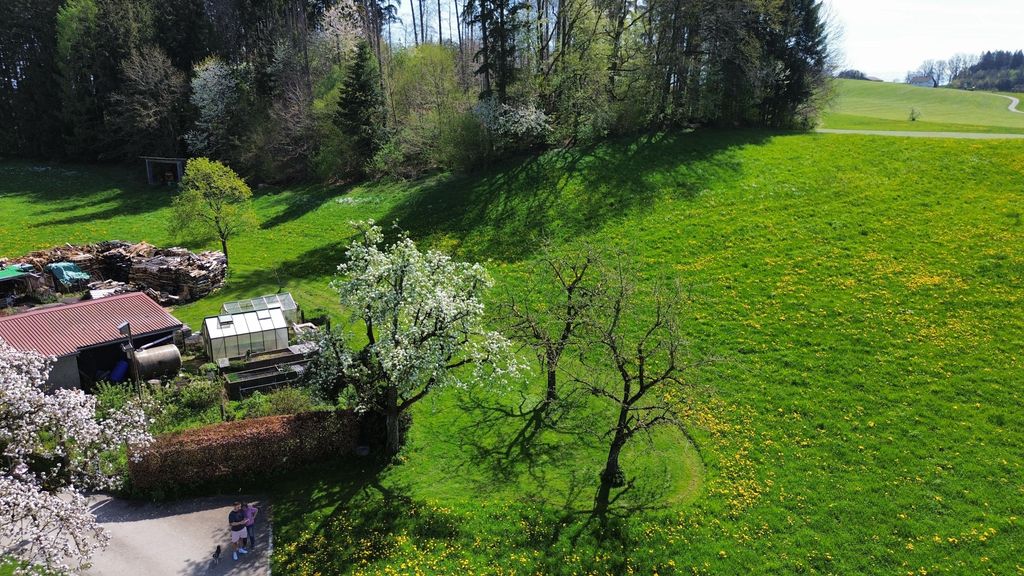 Alleinlage auf der Obstwiese mit Wald & Bach Blick