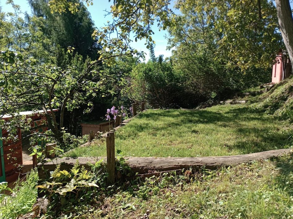 Glamping nel bosco in Val Pellice con vista natura
