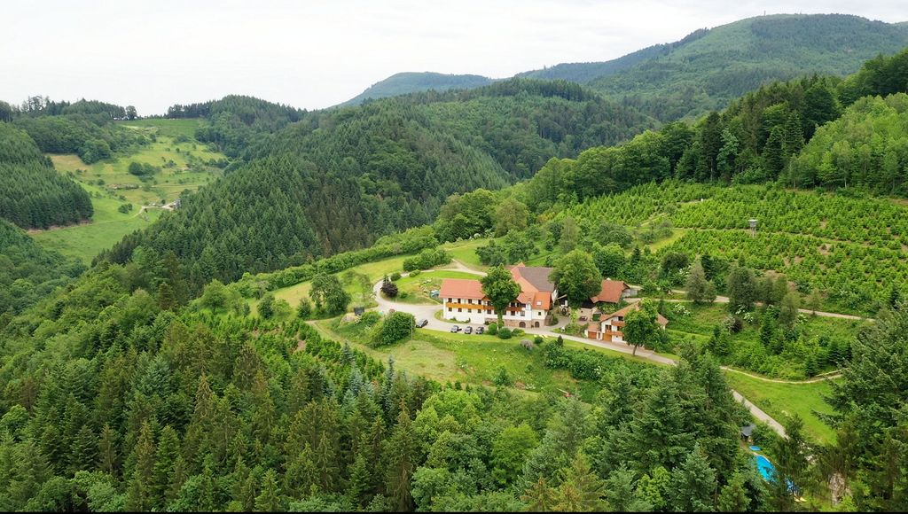 Nature camping with a view in the Black Forest