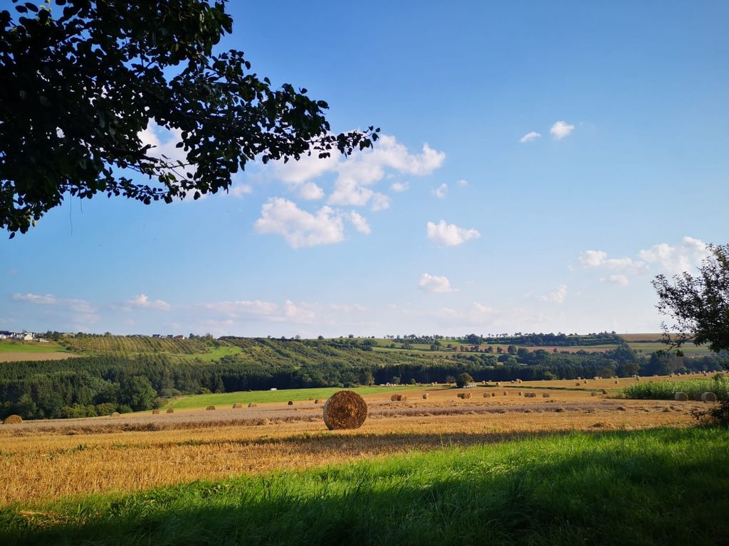 Relajantes vacaciones en una granja del sur de Eifel