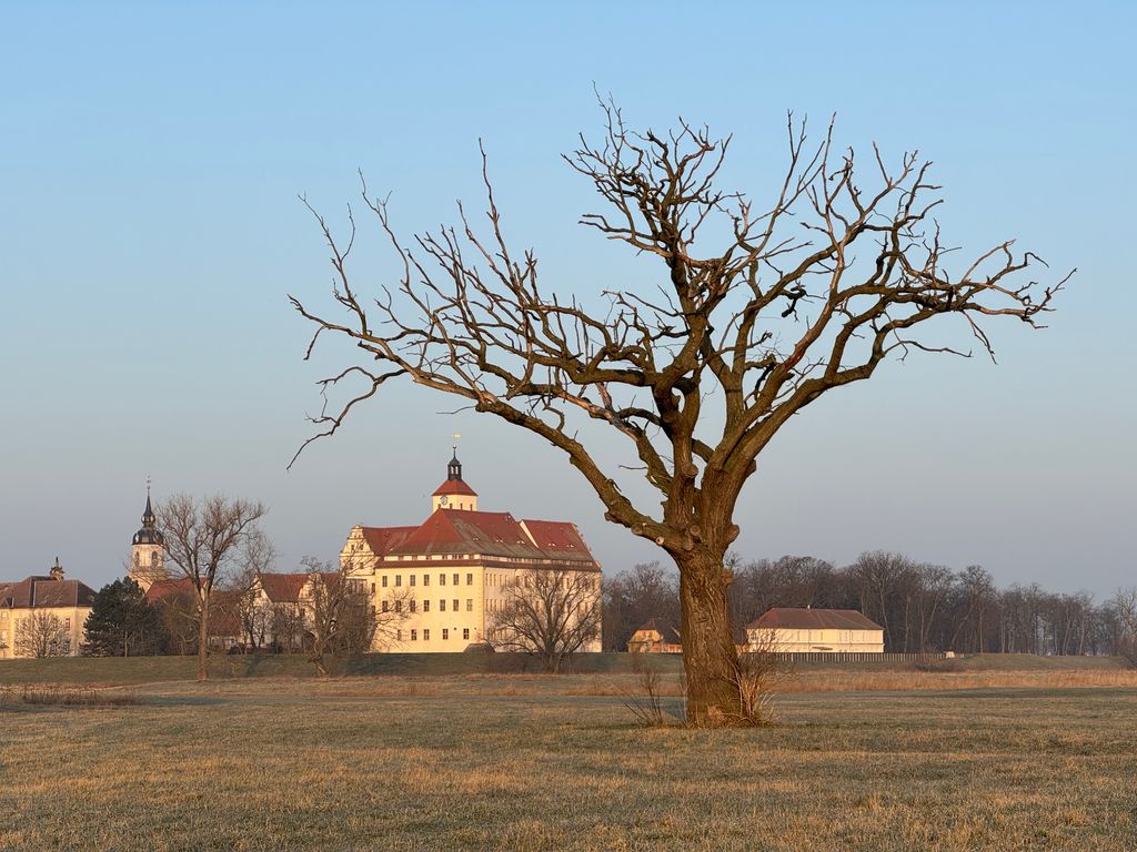 Directly on the Elbe, on the edge of the Düben Heath