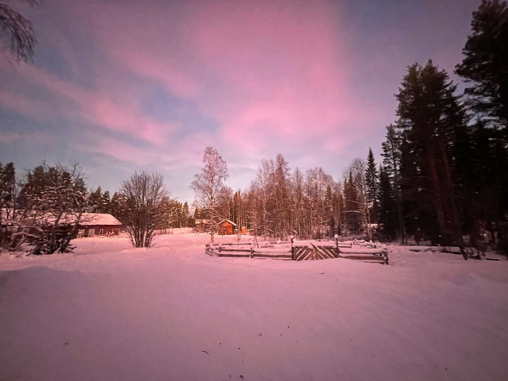 Starte dein Lappland Abenteuer jetzt!