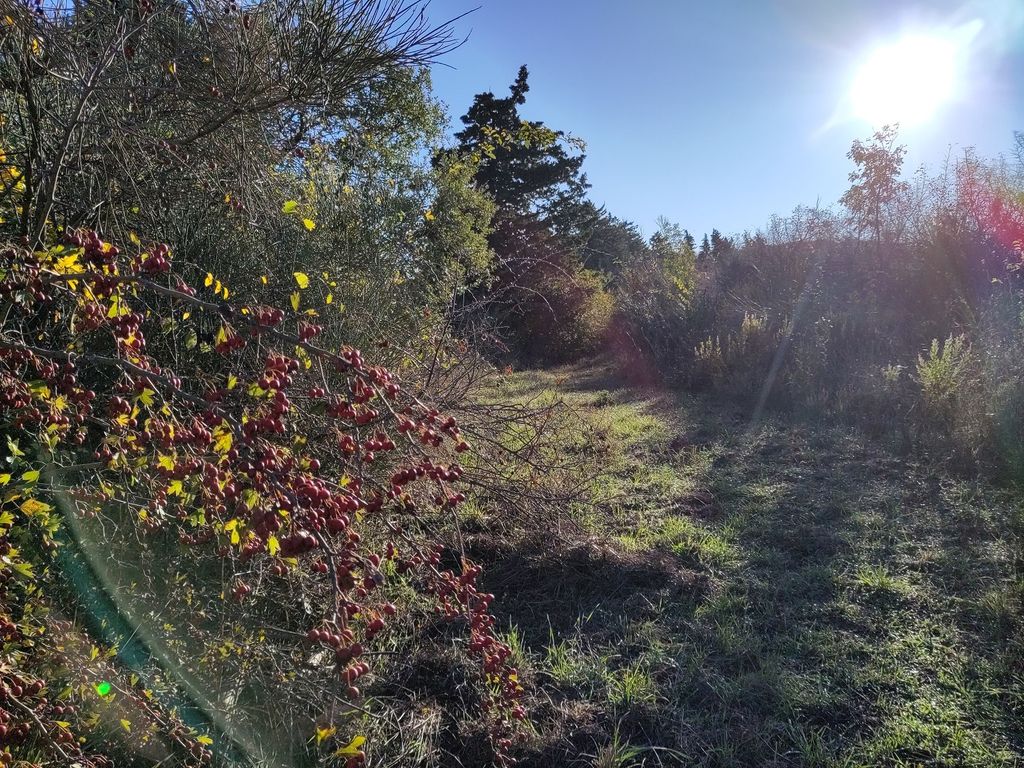 Wildes Campen in den Hügeln bei Bologna