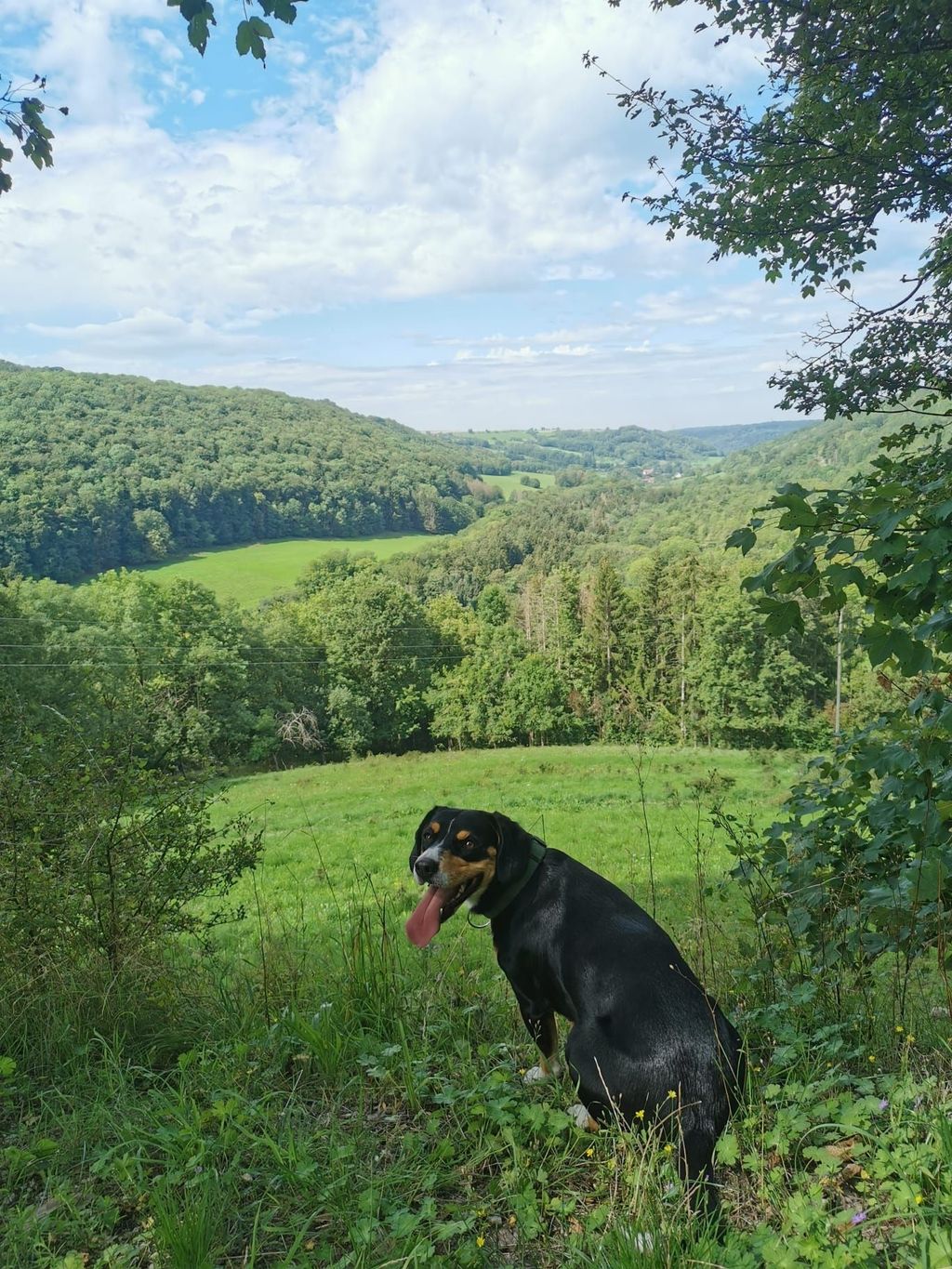 Under the walnut tree in the untouched Ettetal valley