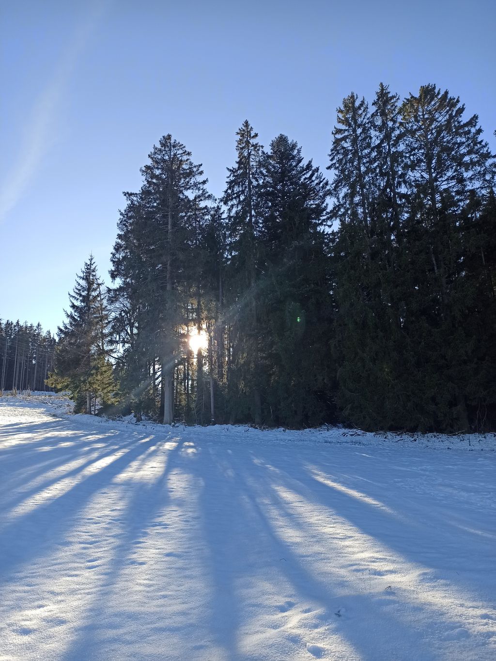 Accommodation in the Black Forest between forest & meadow