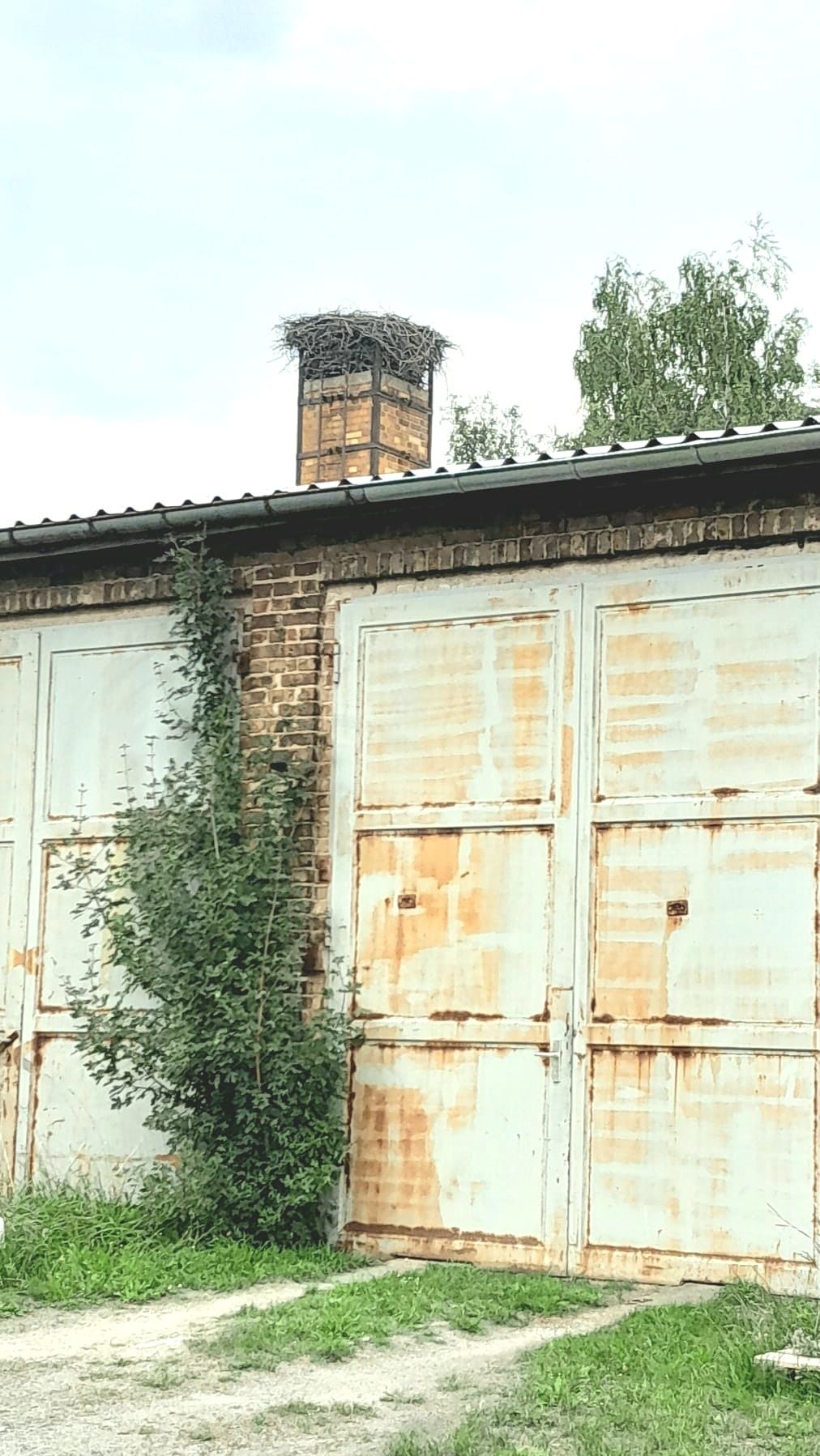 Im Osten Brandenburgs beim Storch zur Untermiete