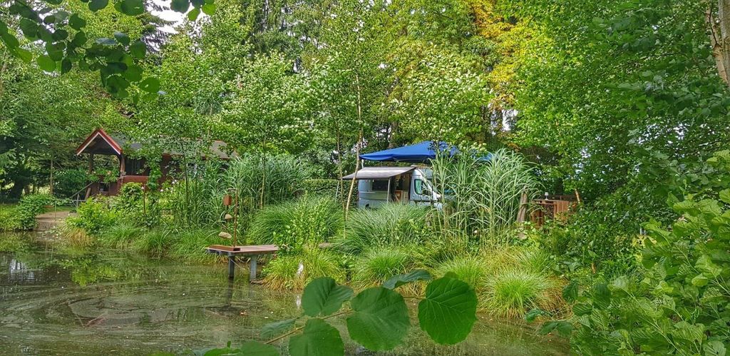 Emplacement individuel de rêve au bord d'un étang avec foyer