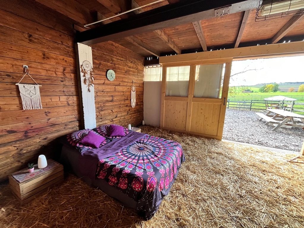 Pasar la noche cerca de la naturaleza en el salón de las alpacas