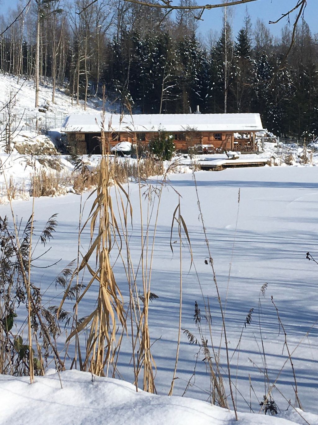 Wilde Heimat, malerische Anlage inmitten der Natur