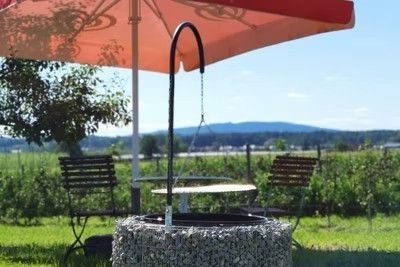 Camping at the orchard only 10 km to Lake Constance