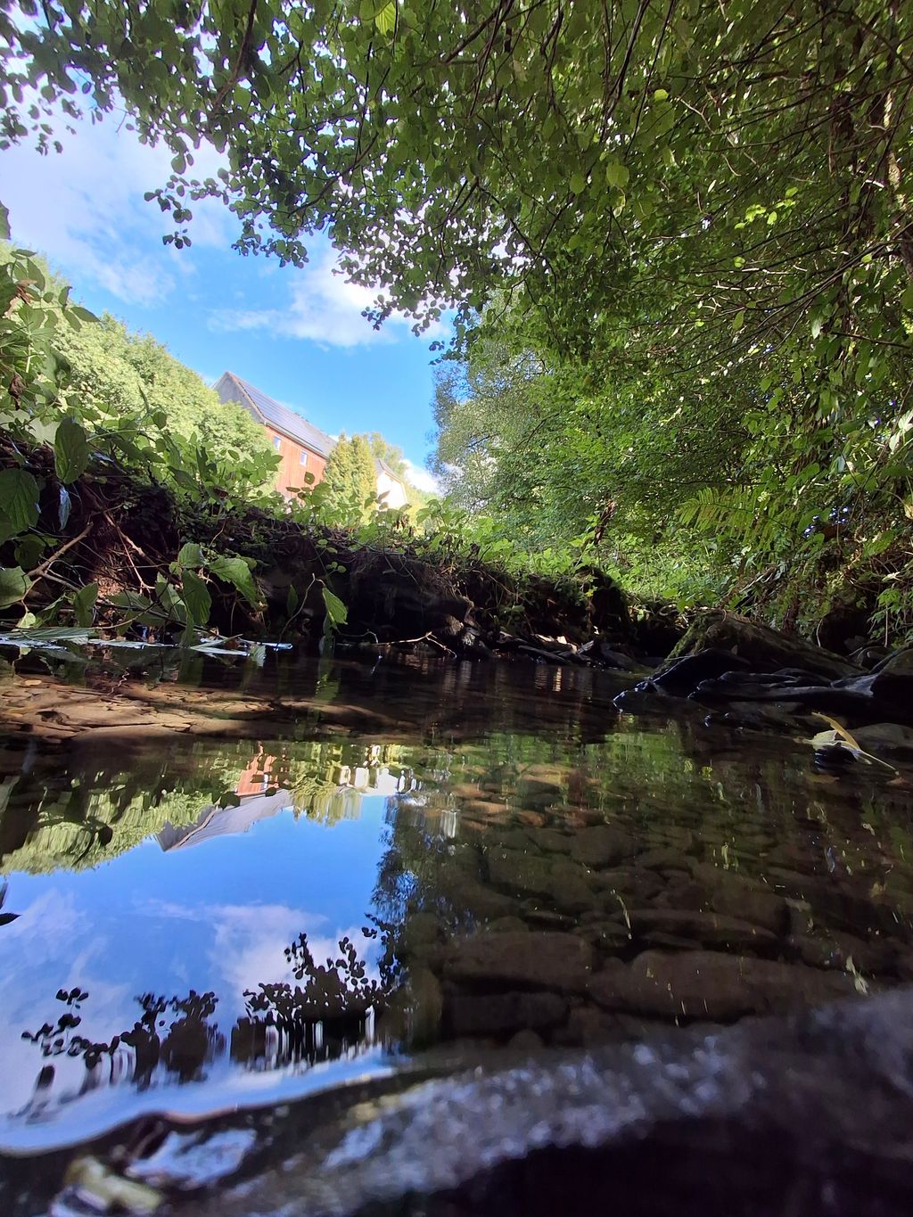 Une idylle dans le Westerwald : un terrain de camping au bord d'un ruisseau 