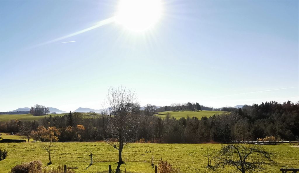 Verger avec vue dégagée sur les montagnes dans un petit village