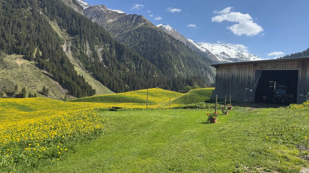 Campamento cerca de la llanura de Greina