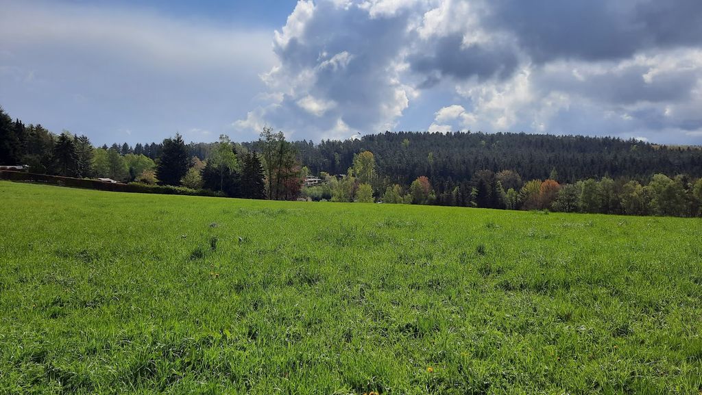 Pradera natural con hermoso mirador cercano