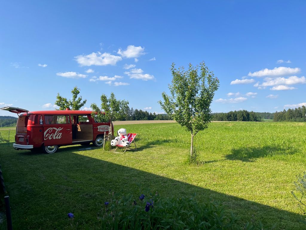Bellissimo prato con alberi da frutto su Biberweg