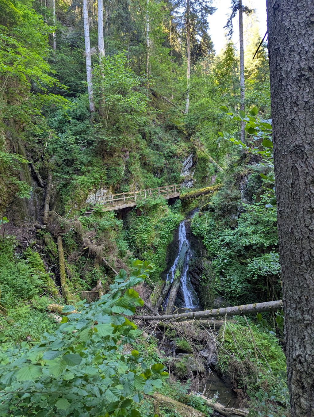 Stellplatz an der Eselweide auf dem Bio-Bauernhof