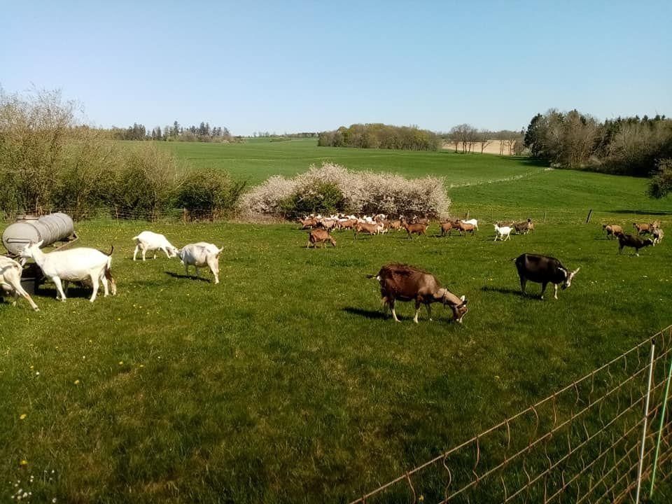 Parcela de la granja ecológica Ulmenhof