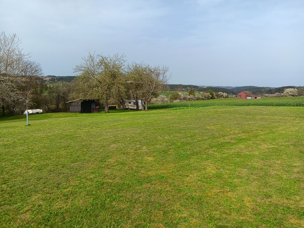 Quiet tree meadow campsite for campers