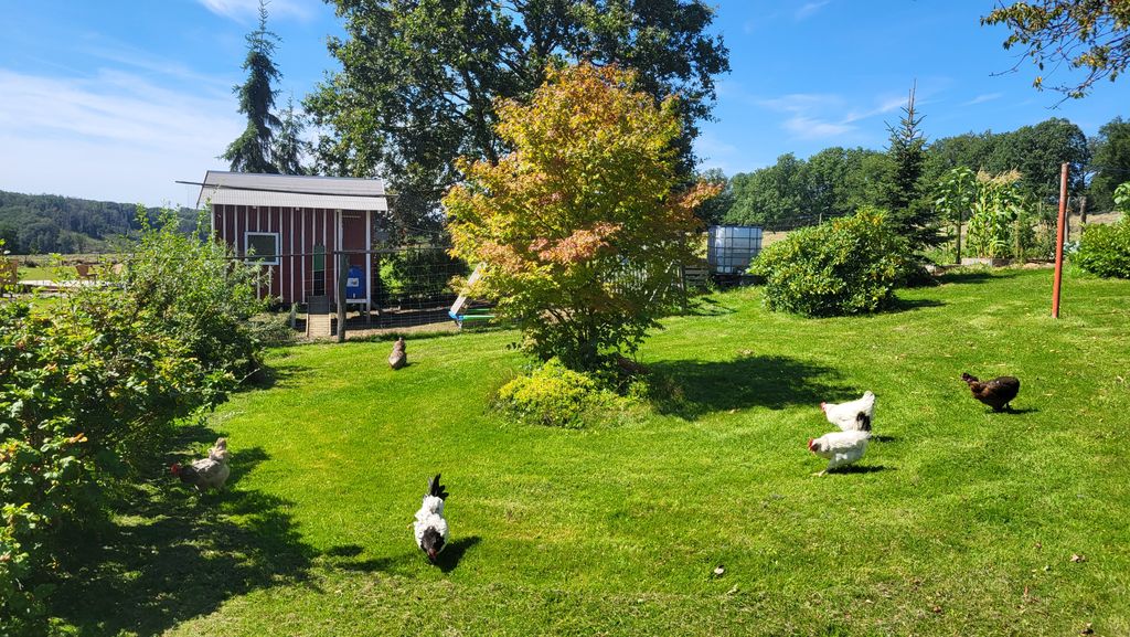 Jardín de hierbas con solárium y jacuzzi