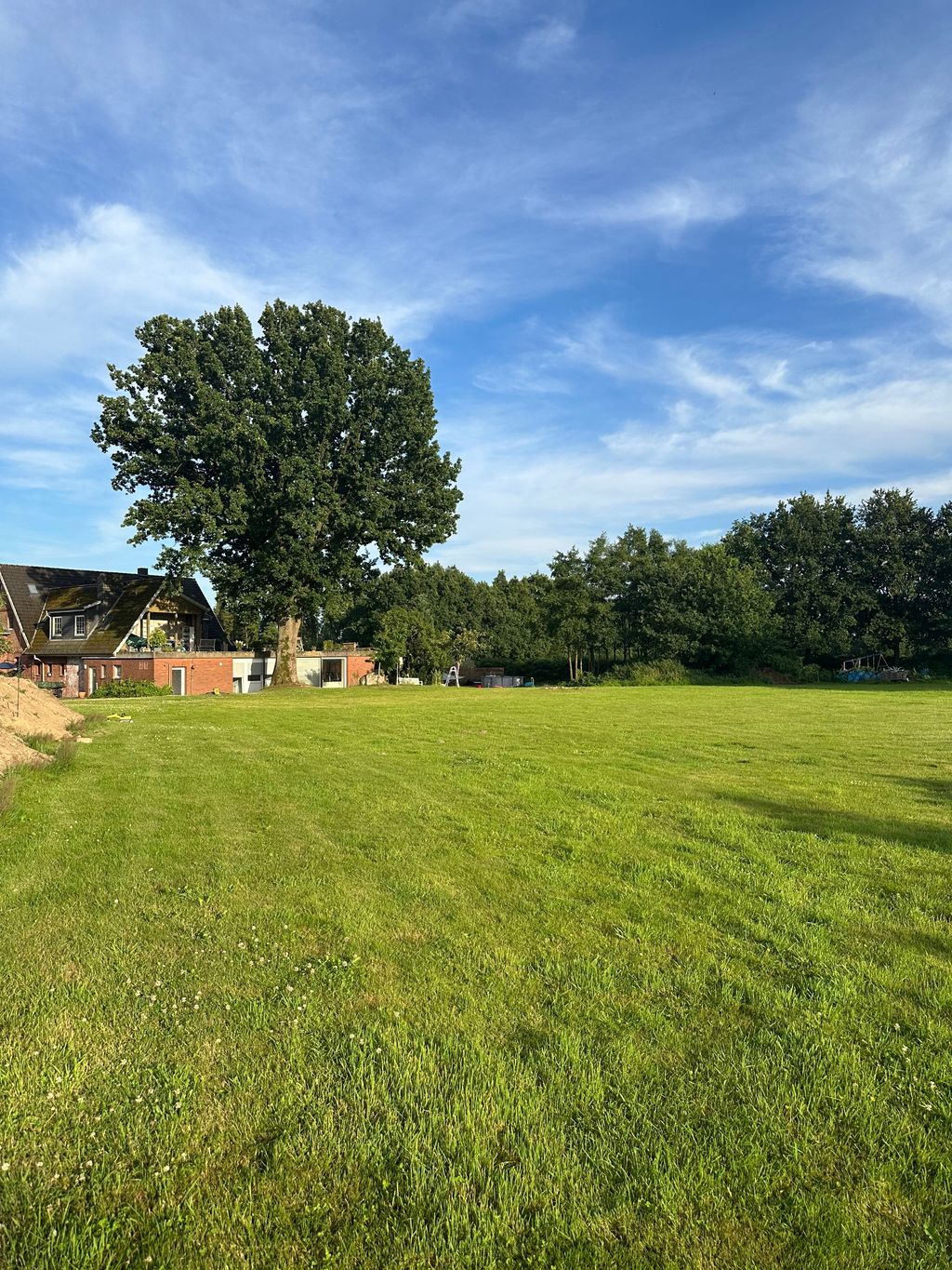 Large meadow with free choice of pitches