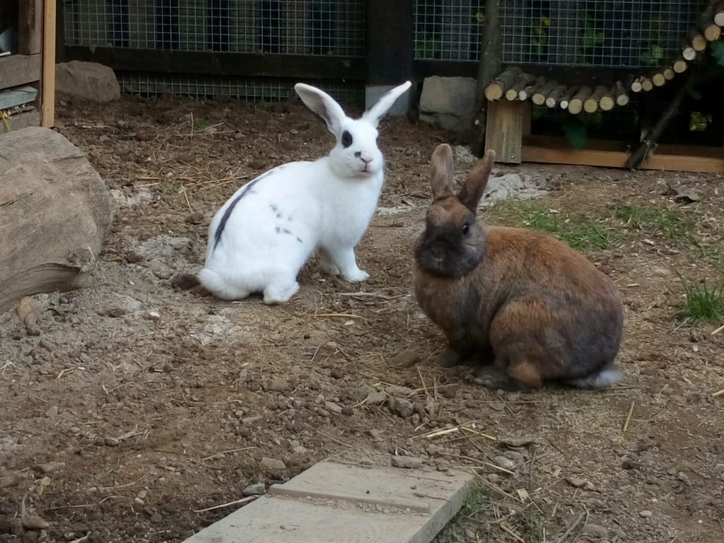 Urlaub auf dem Bauernhof am Rande des Sauerland